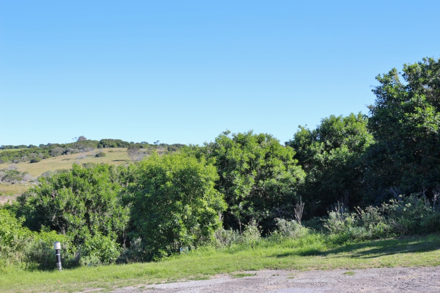 0 Bedroom Property for Sale in Forest Downs Eastern Cape